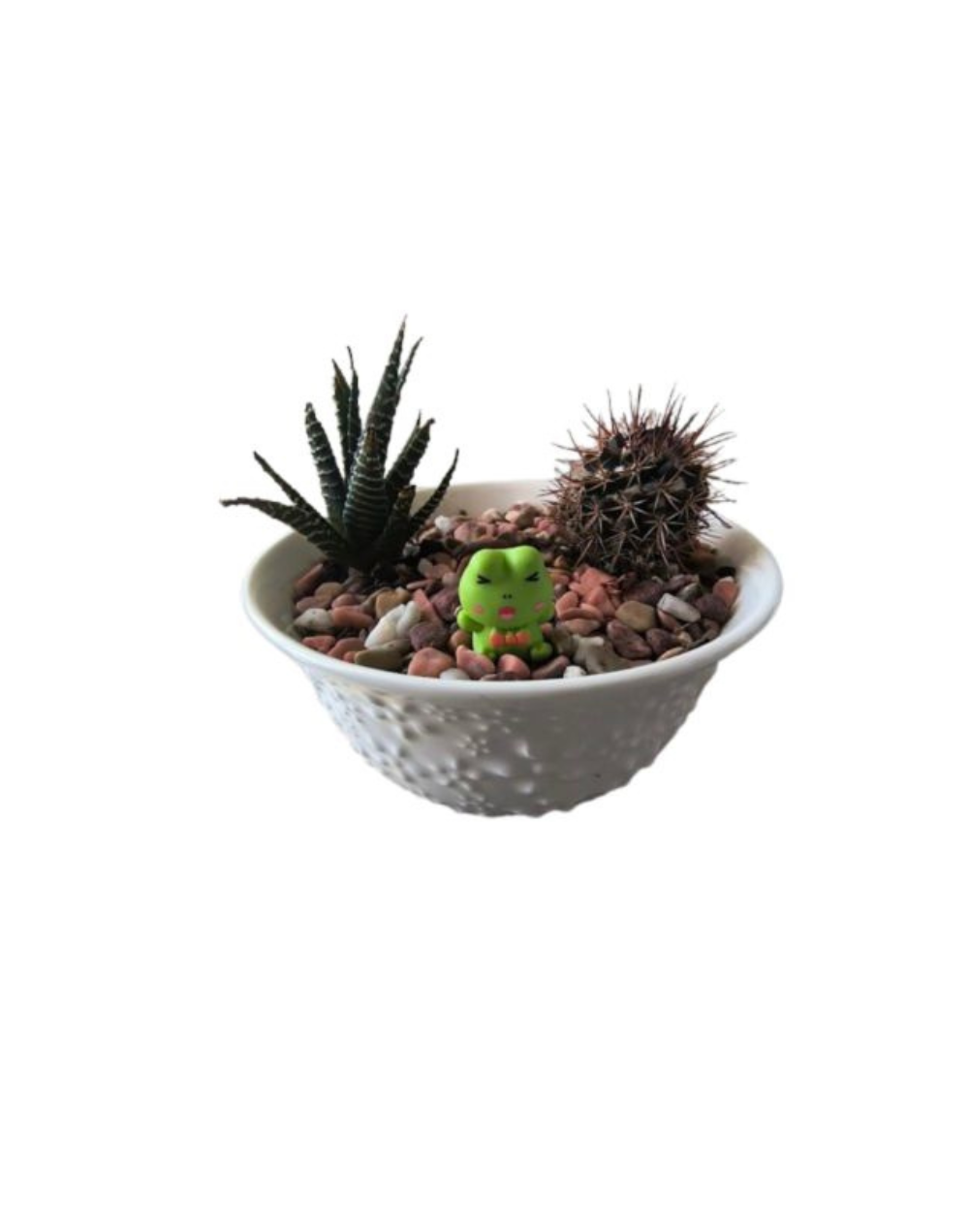 Terrario Bowl Cerámica Blanco