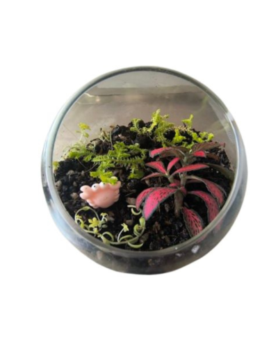 Terrario Cristal 10x10 Diagonal