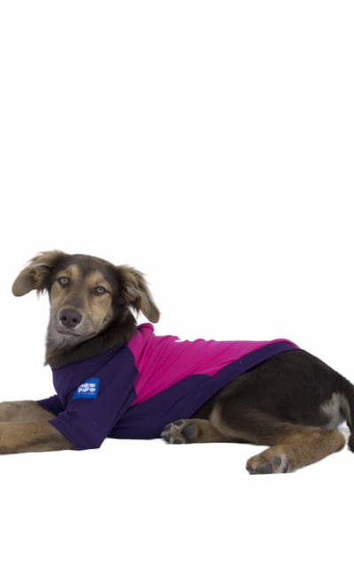 Camisetas para perros dog love fucsia