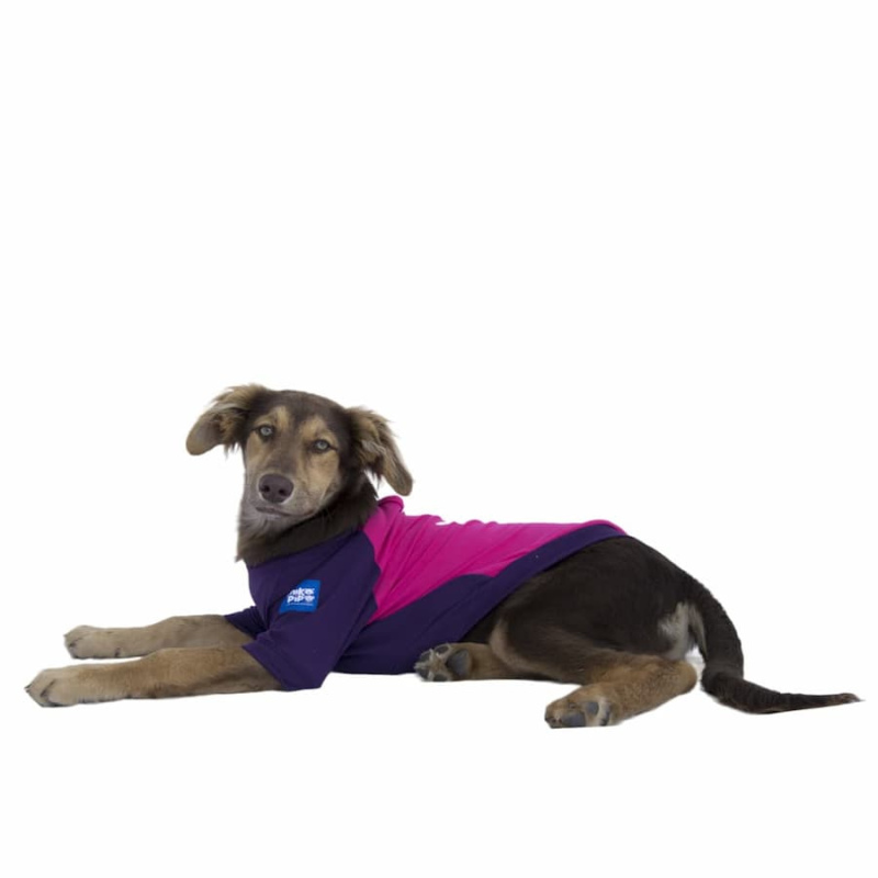 Camisetas para perros dog love fucsia