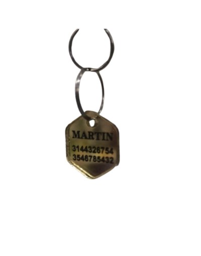 Placa  mini para gato perro pequeño