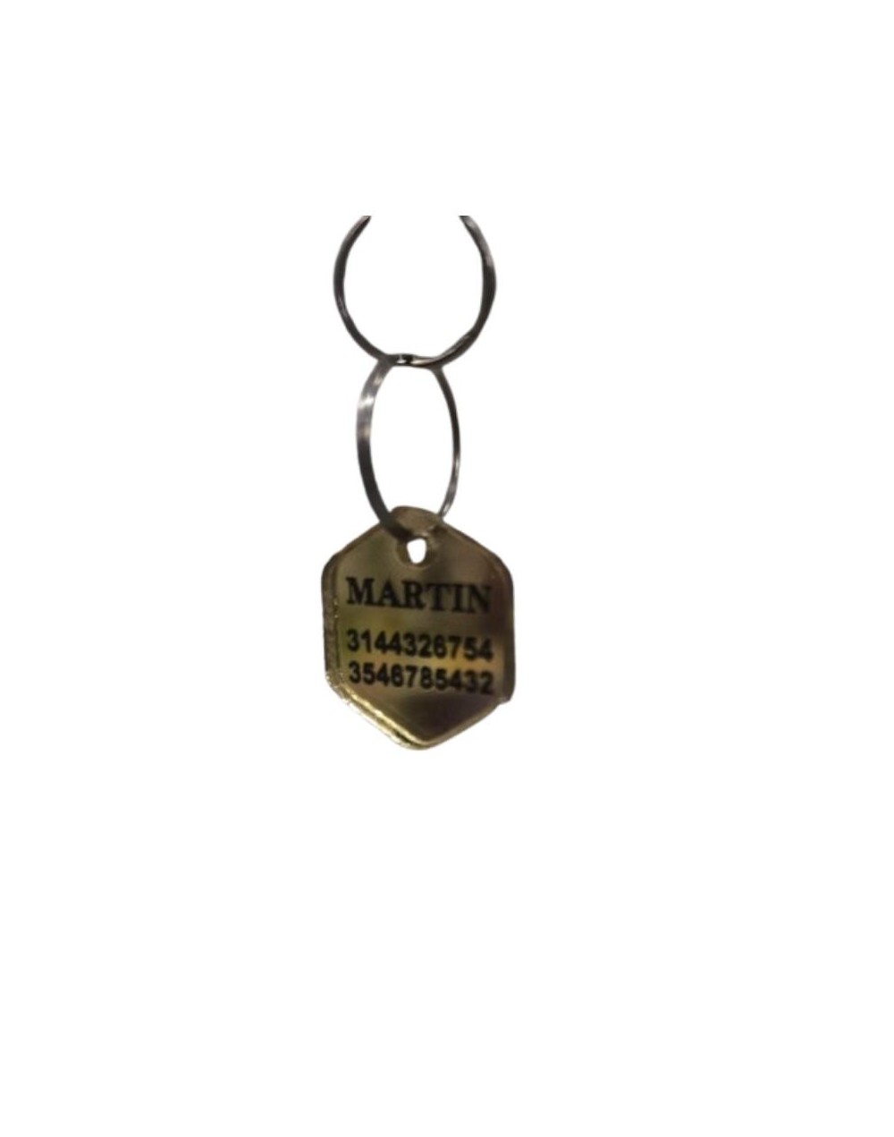 Placa  mini para gato perro pequeño