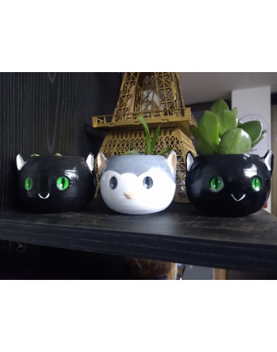 Materas personajes  Daft Punk Escandalosos Gatos y Mas