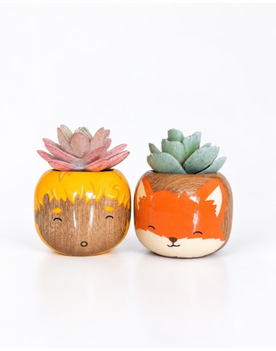 Pot·Pots Mini 