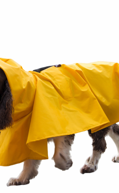Capa de lluvia para perros