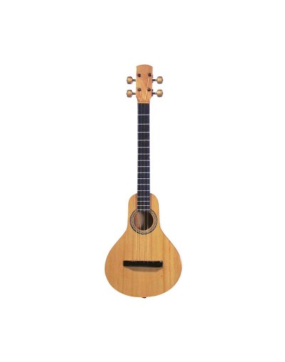 mini instrumento decorativo - bandola llanera