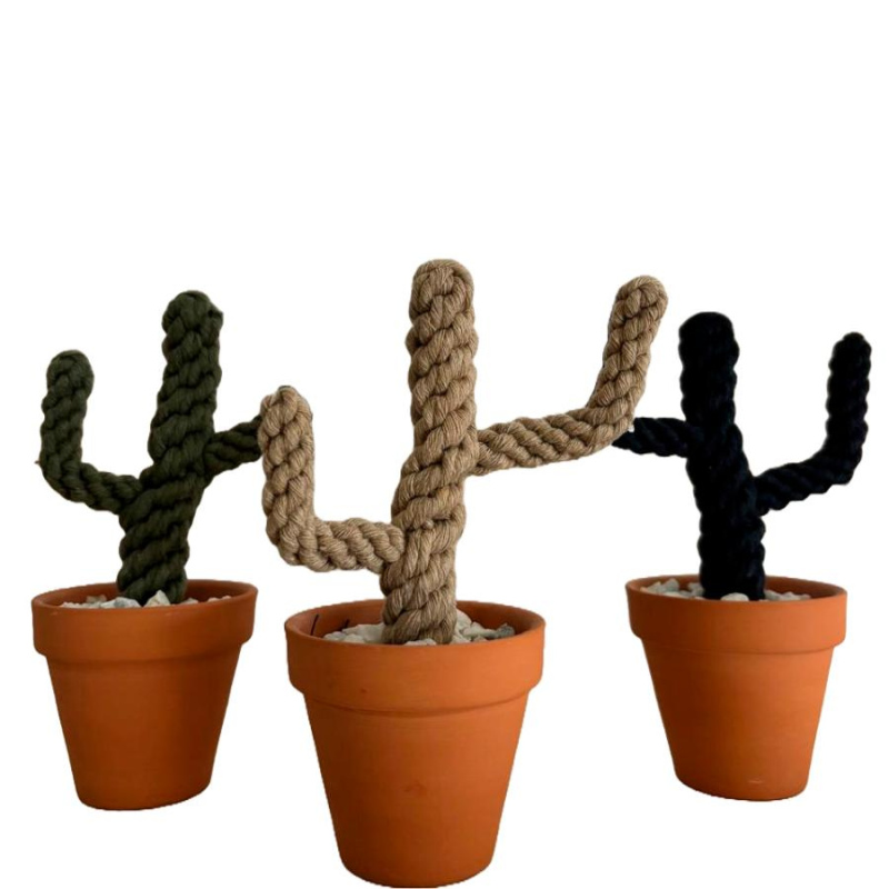 Cactus en macrame