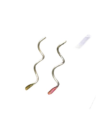 Aretes Güio 