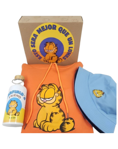 Set “Garfield Mood cold day” 