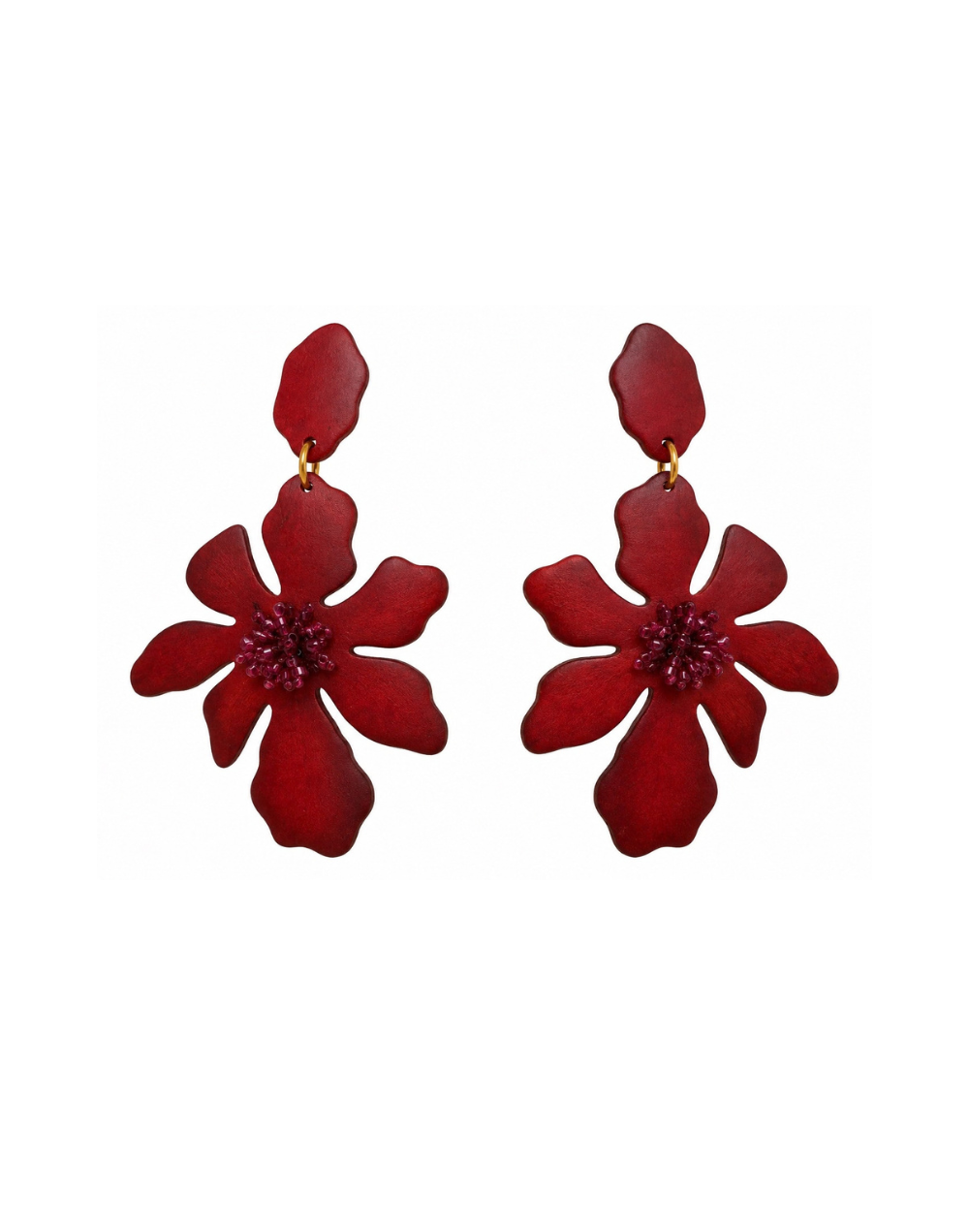 Aretes Cymbidium