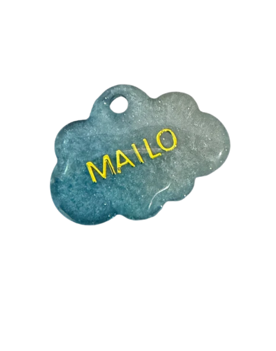 Placa de identificación