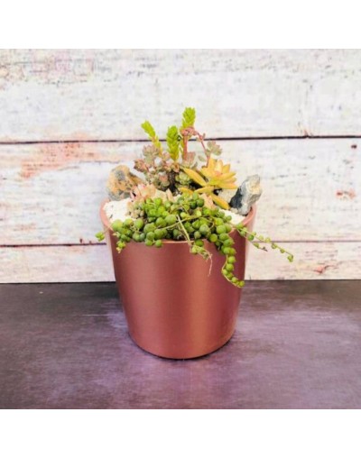 Maceta “Orquídea Metalizada”