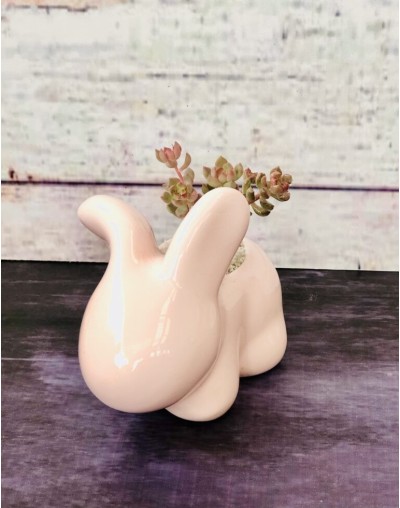 Maceta “Conejo”
