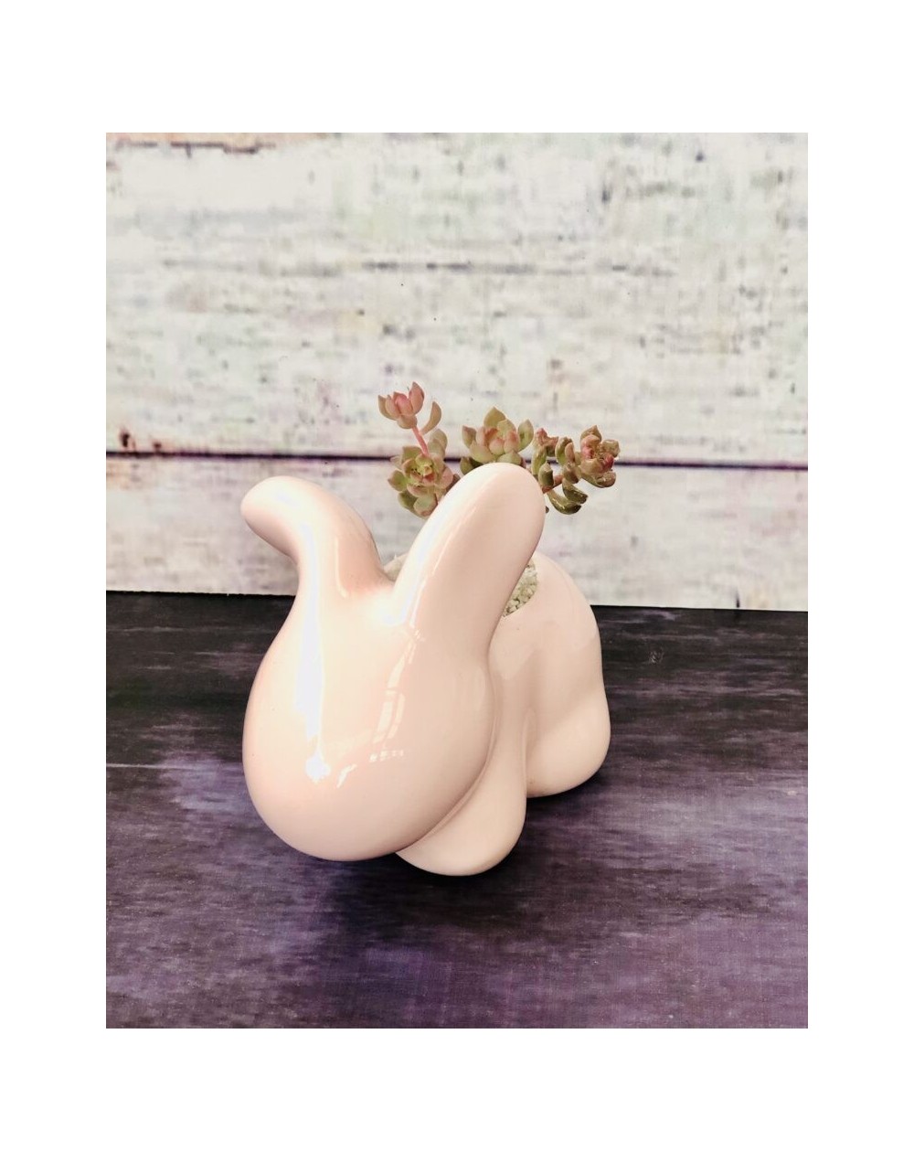 Maceta “Conejo”