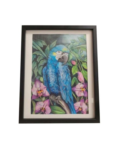 Guacamayo Azul / 1/8 de pliego