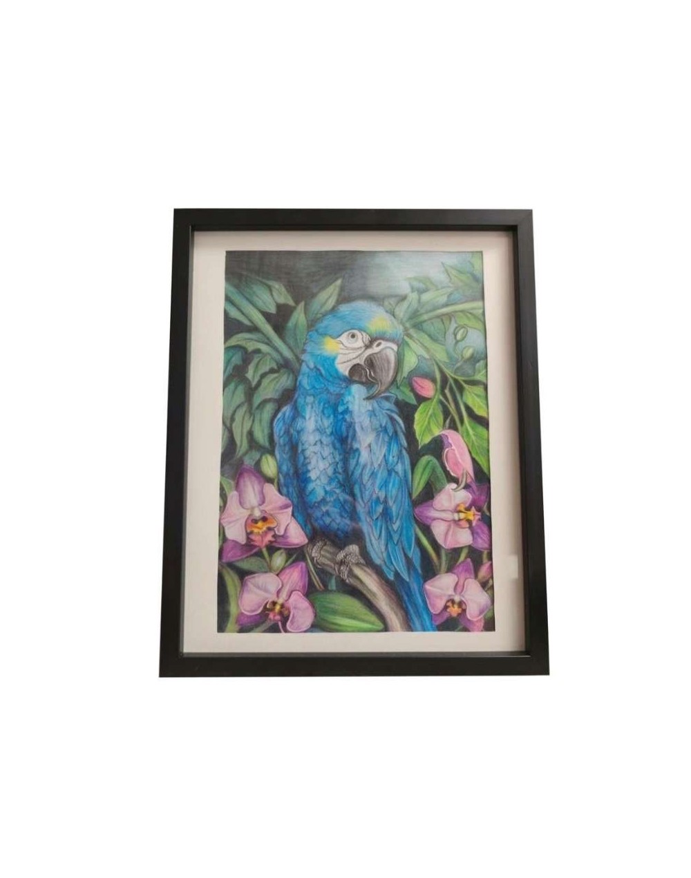 Guacamayo Azul / 1/8 de pliego