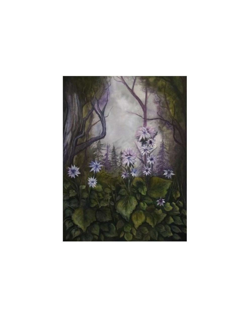 Flores Violeta