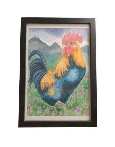 Gallo colombiano