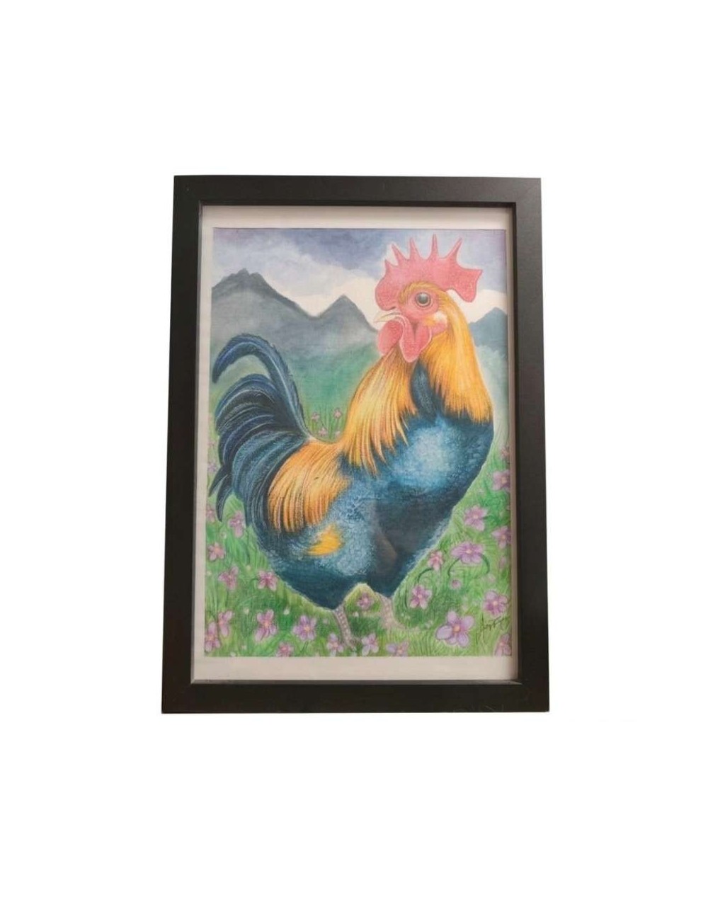 Gallo colombiano