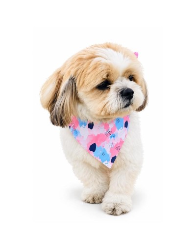 pañoleta para mascota