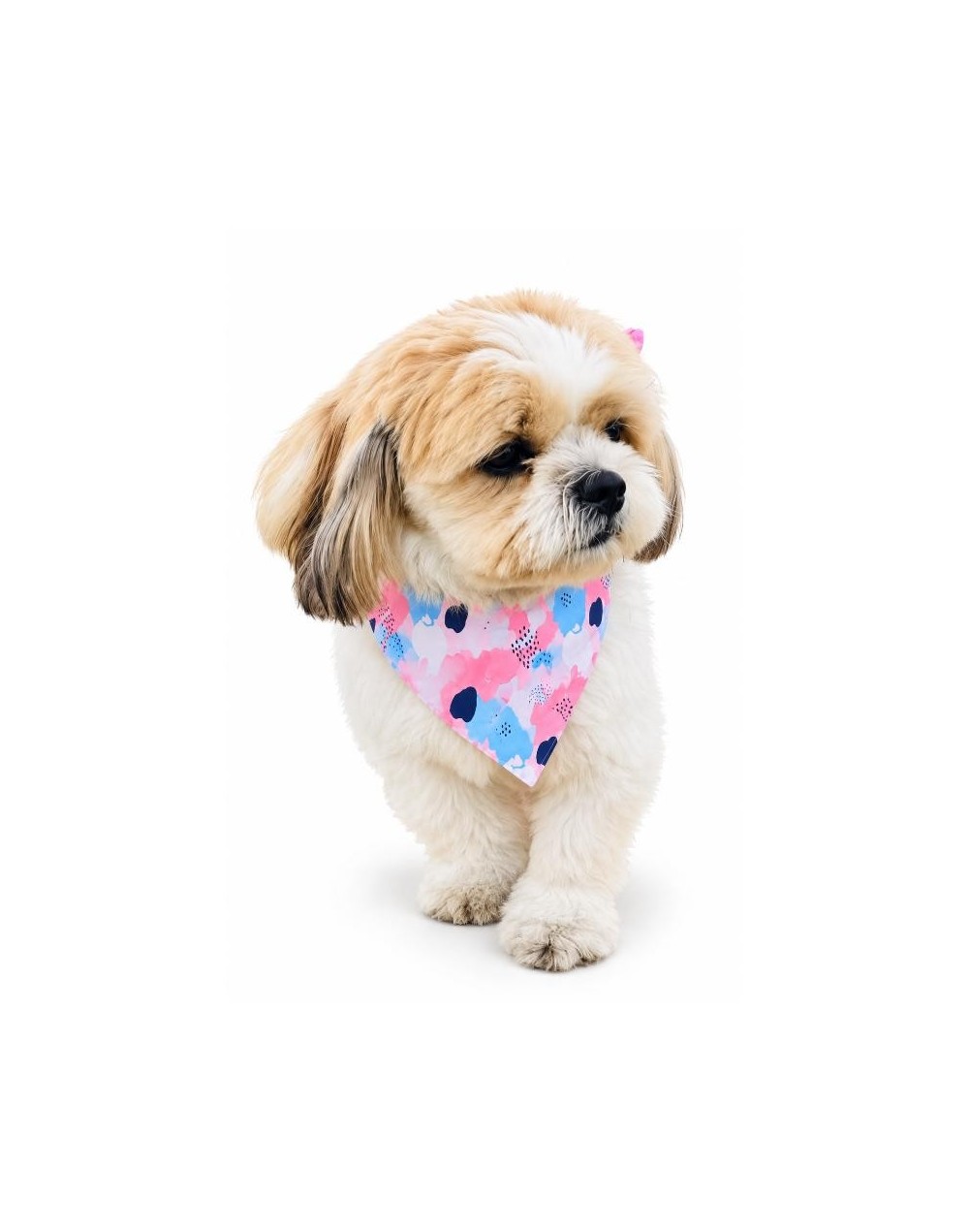 pañoleta para mascota