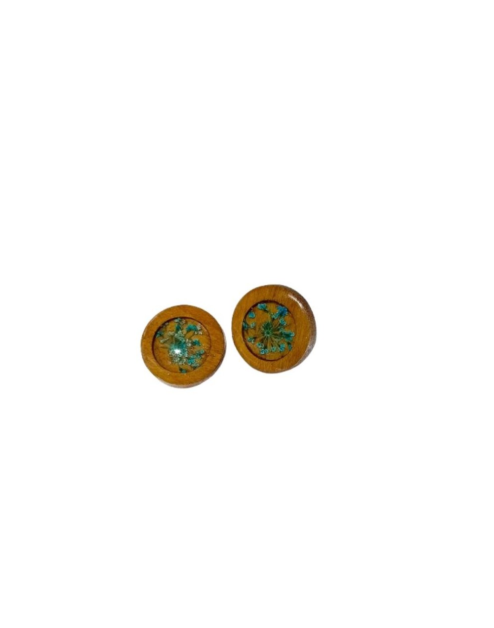 ARETES BOTÁNICOS 