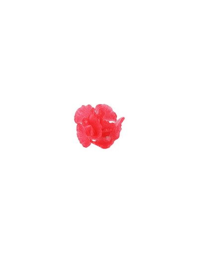 Anillo Clavel Fucsia