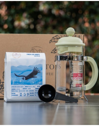 Kit prensa BODUM