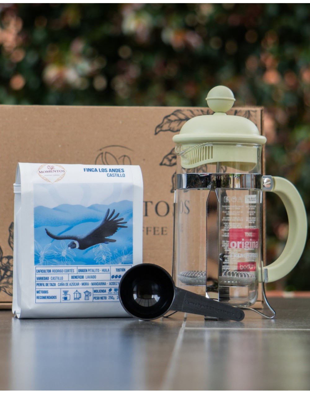 Kit prensa BODUM