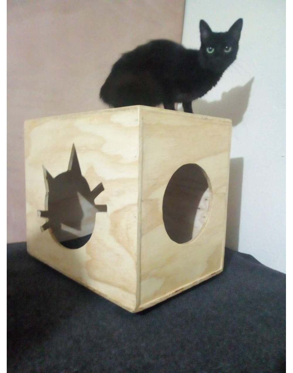 CASA PARA GATO EN MADERA