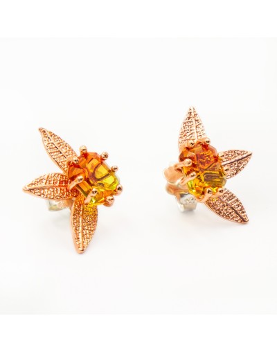 Aretes Schwartzia Ag Rosado