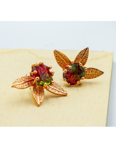 Aretes Schwartzia Ag Rosado