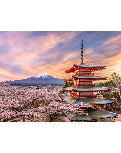 Curso Japonés