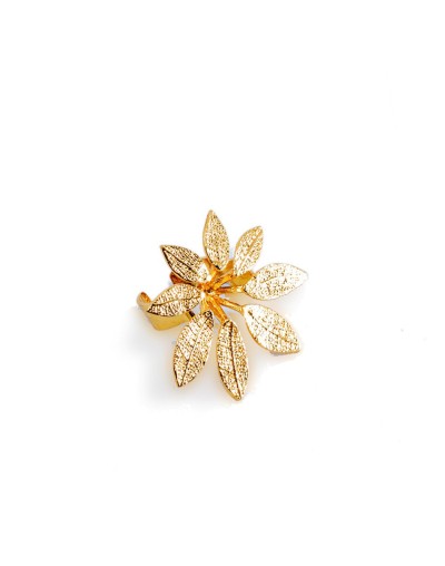 Anillo Shefflera