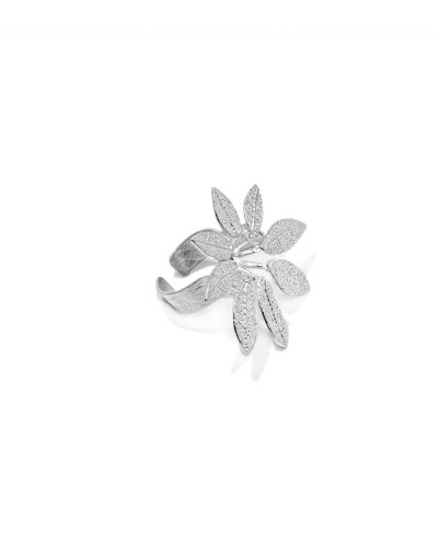 Anillo Shefflera