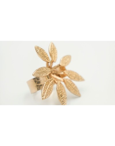 Anillo Shefflera