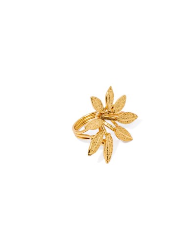 Anillo Shefflera