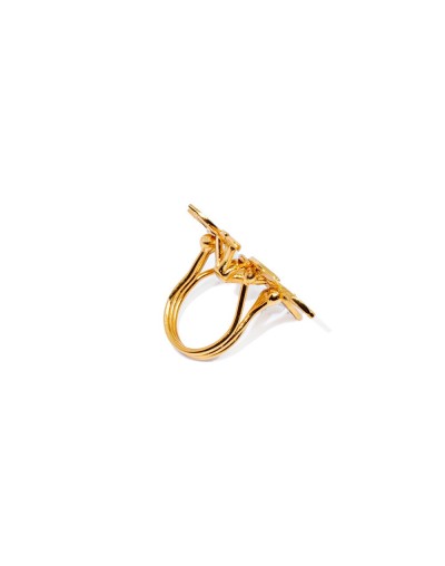 Anillo Shefflera