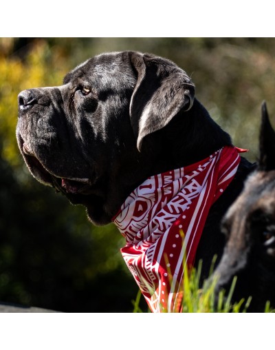 BANDANAS ROJAS
