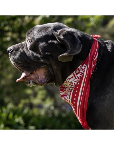 BANDANAS ROJAS