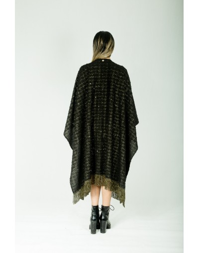 PONCHO ARIES