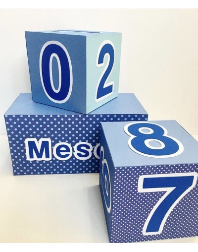 Cubos Meses