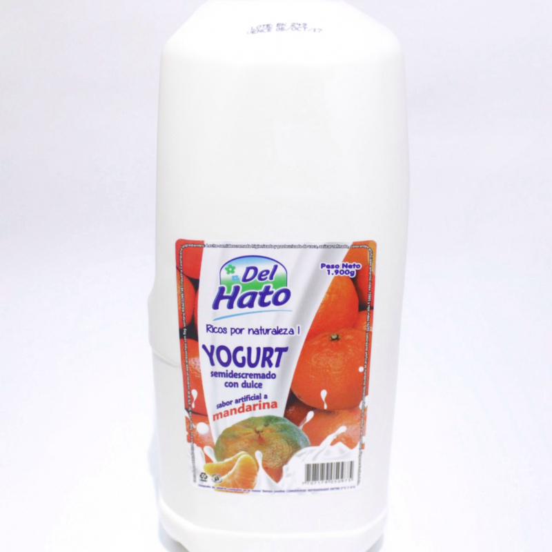 Yogurt Mandarina 2L