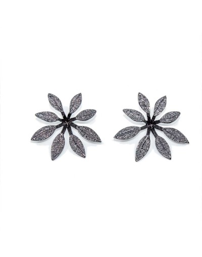 Aretes topos Schefflera