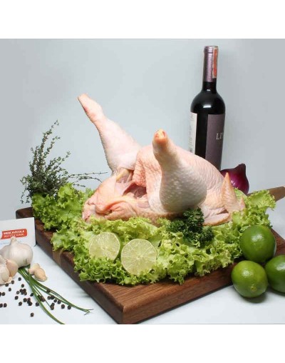 Gallina gigante