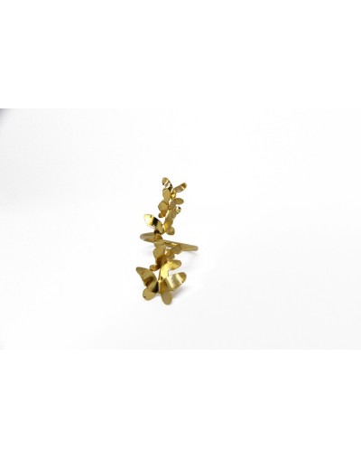 Anillo Buendía