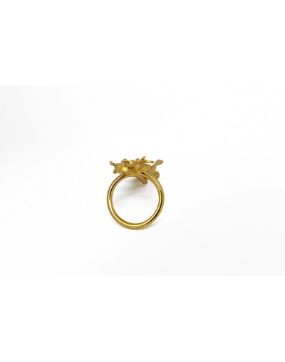 Anillo Buendía
