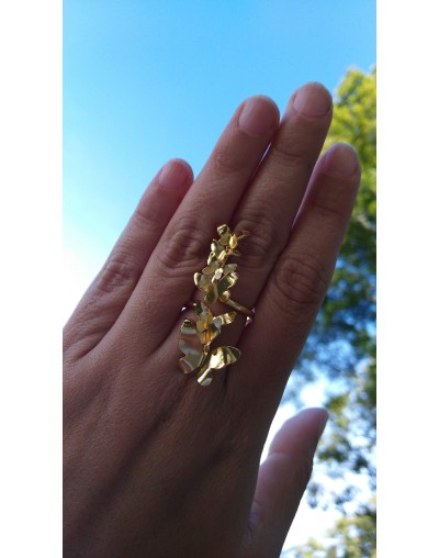 Anillo Buendía