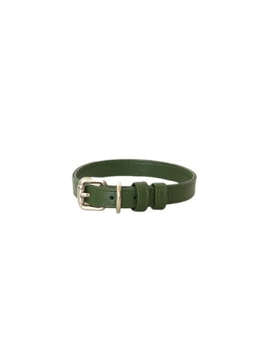 Collar para perro color green cactus