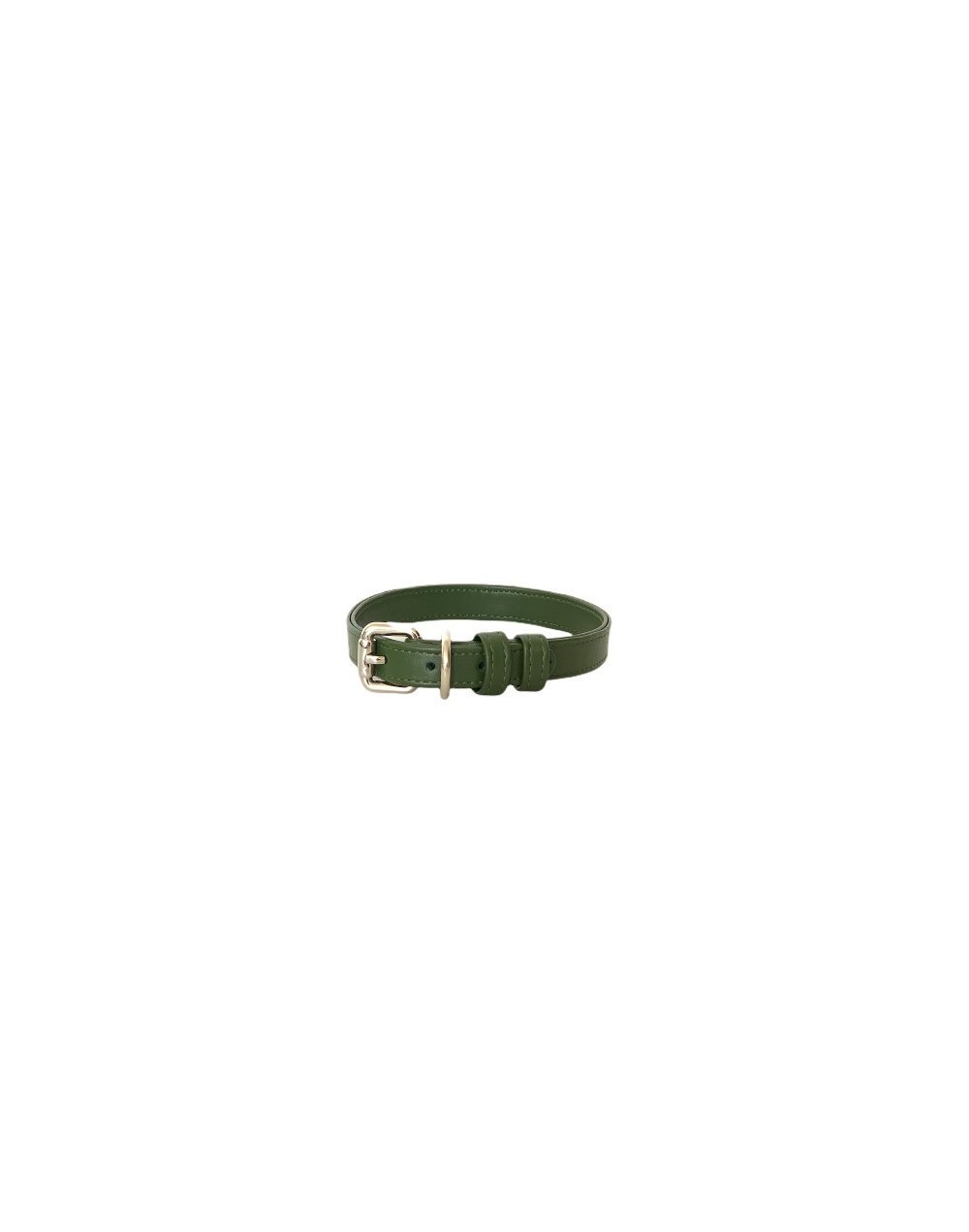 Collar para perro color green cactus